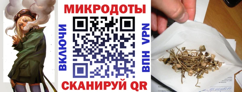 как найти закладки  Холм  Галлюциногенные грибы ЛСД 