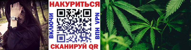 Бошки марихуана план  гидра ССЫЛКА  Холм 